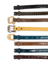 Collection of Kieselstein Cord Items: Eight Belts and Three Buckles