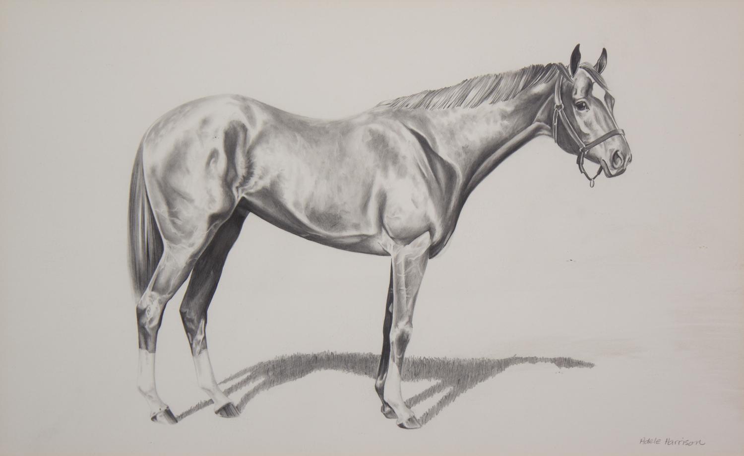 Nineteen Equestrian Prints