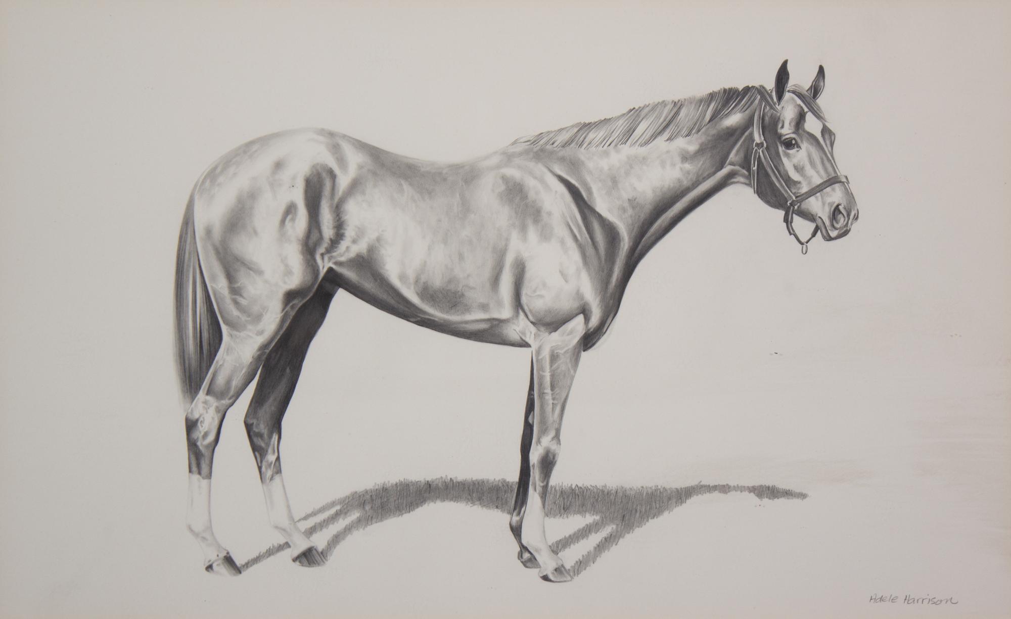 Nineteen Equestrian Prints