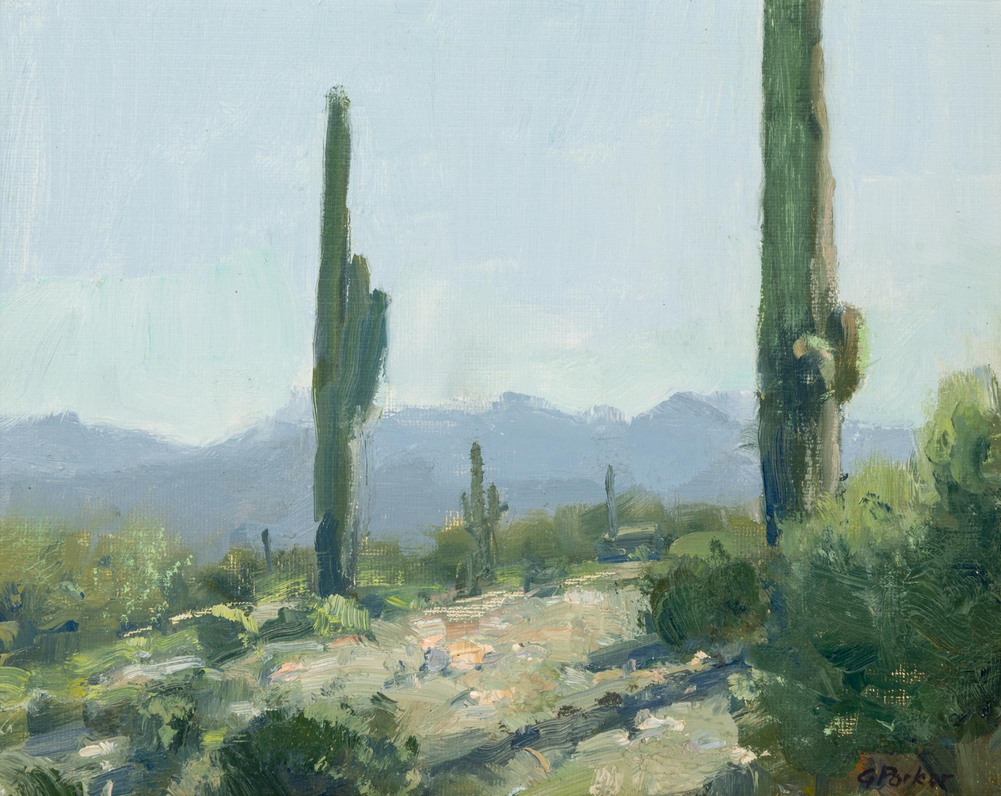 Along the Gila