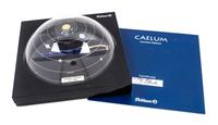 A Pelikan Caelum Limited Edition Fountain Pen