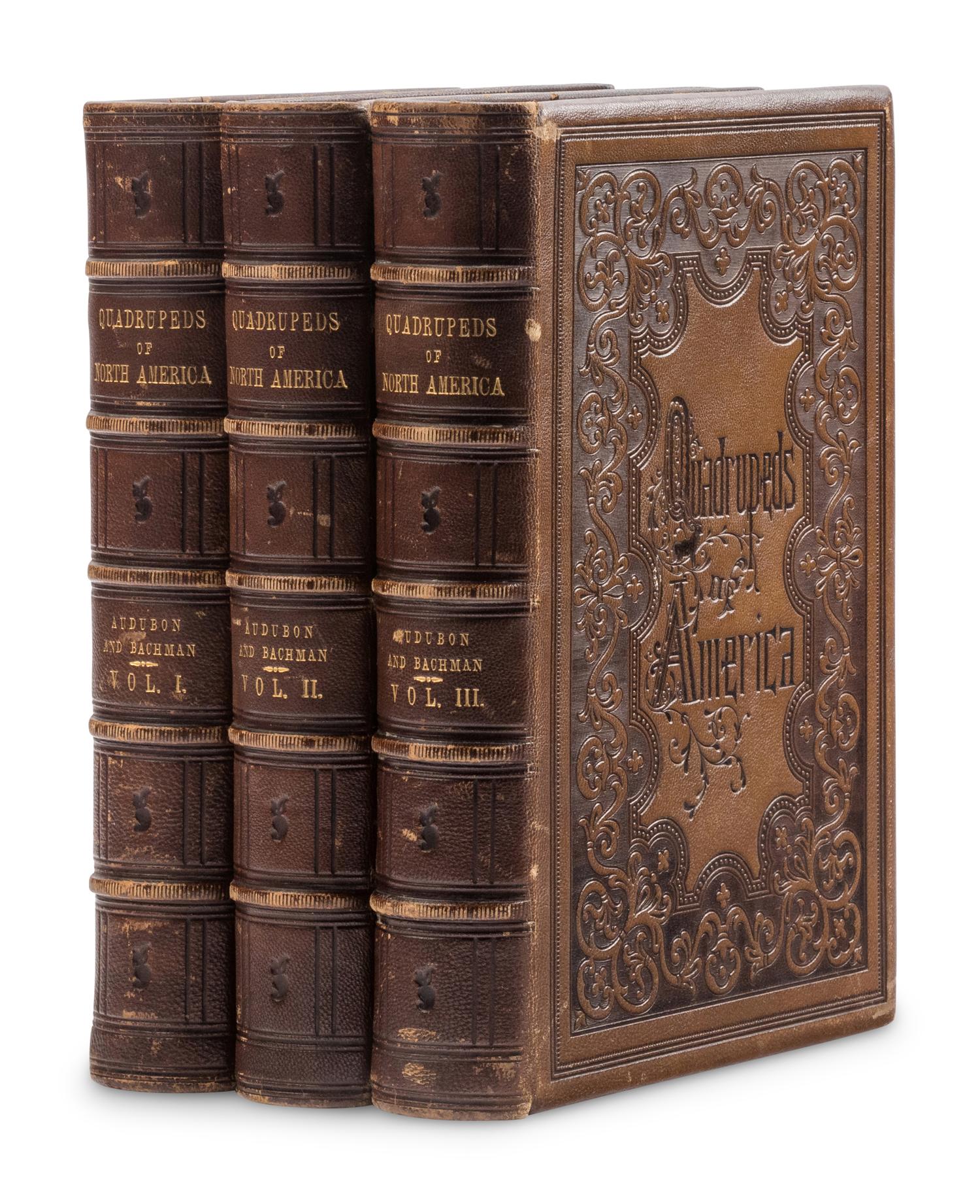 Audubon, John James, and John Bachman. The Quadrupeds of North America