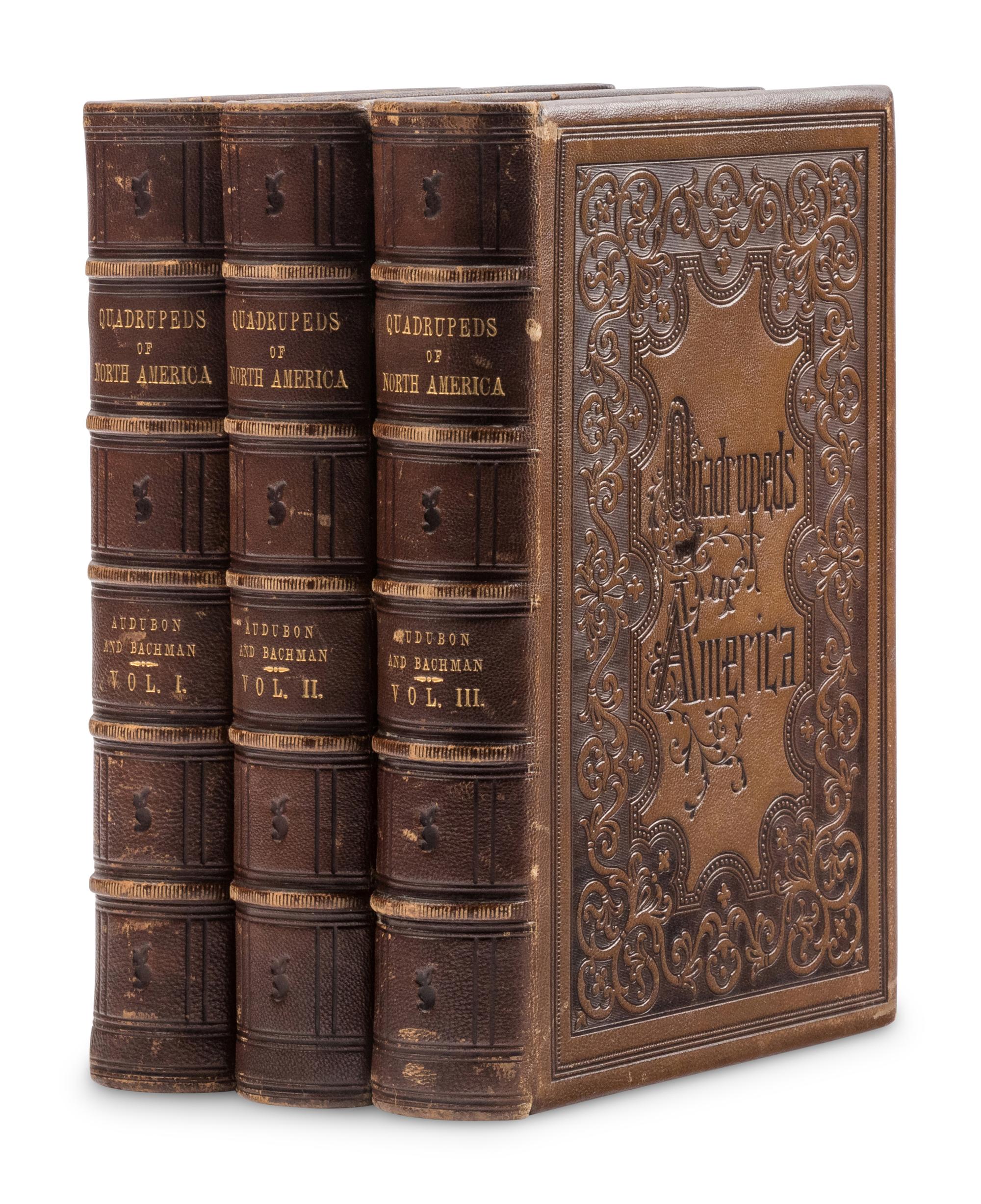 Audubon, John James, and John Bachman. The Quadrupeds of North America
