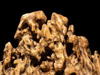 A Chinese Taihu Scholar's Rock