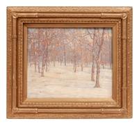 Trees in Winter