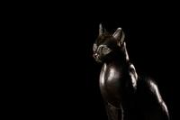 An Egyptian Bronze Cat