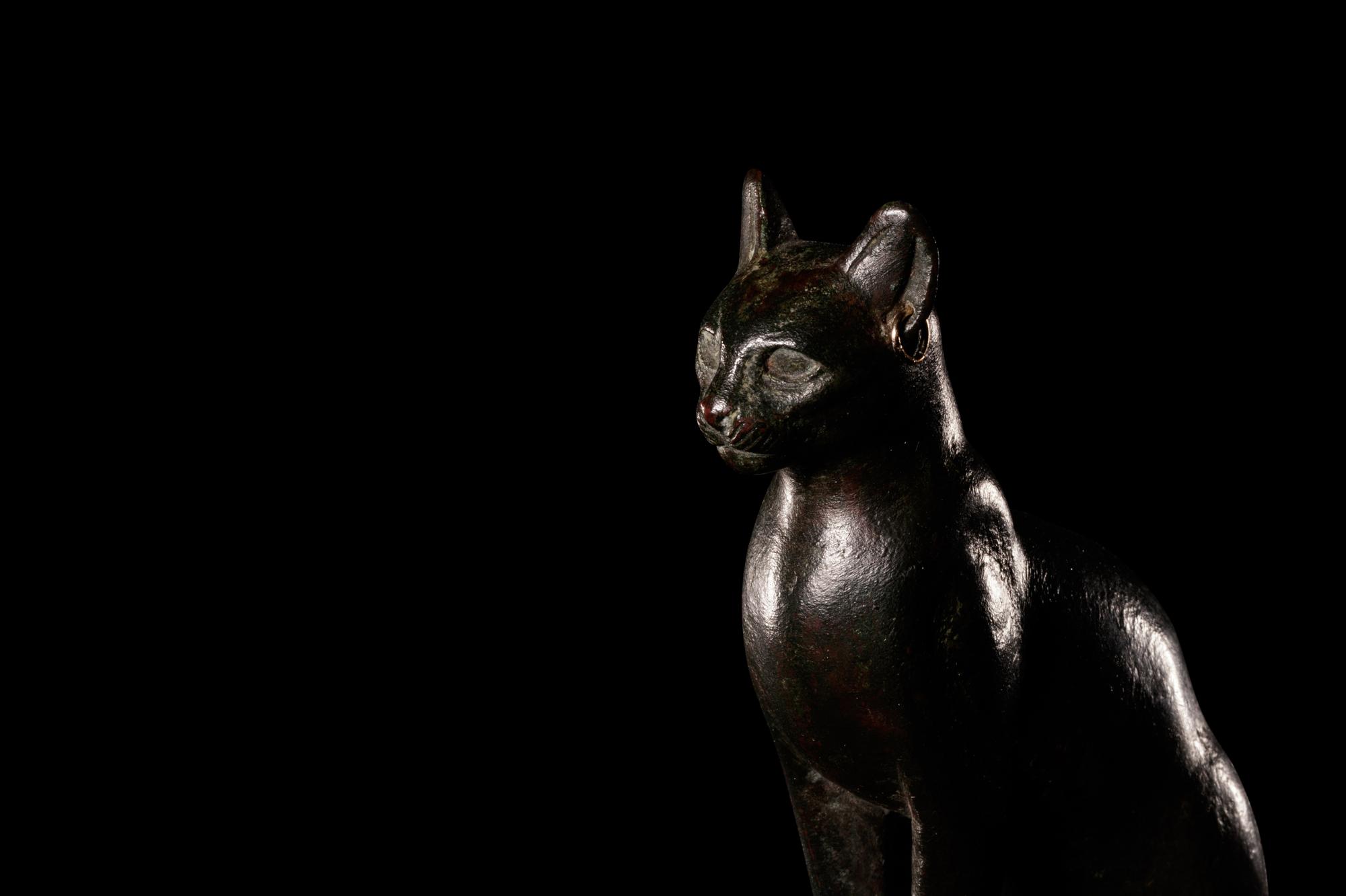 An Egyptian Bronze Cat