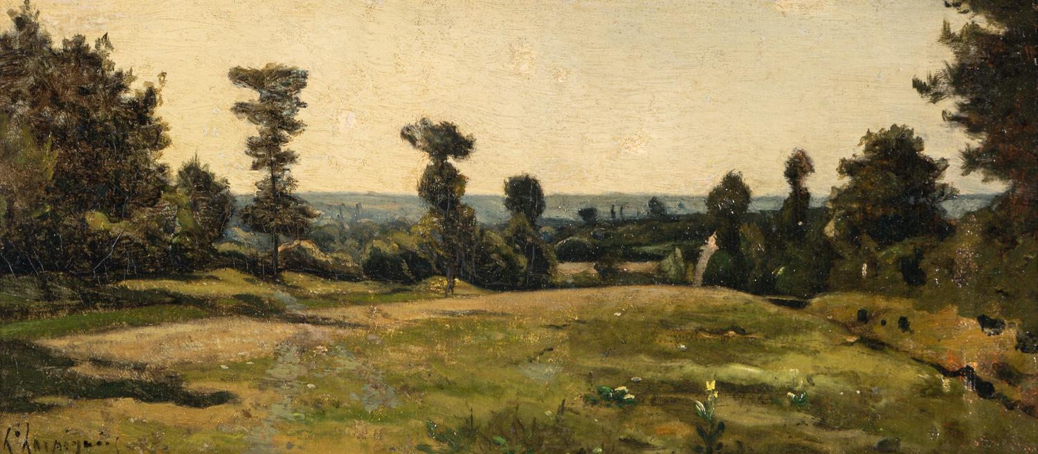 Landscape