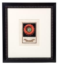 A Group of Four Engravings with Hand Coloring Each 8 7/8 x 6 3/4 inches (visible).