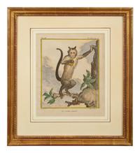 Four Framed Copper Plate Engravings from Le Comte de Buffon, Quadrupeds from Histoire Naturelle