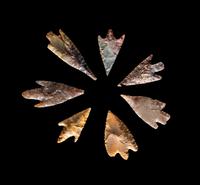 101 Neolithic Flint Points