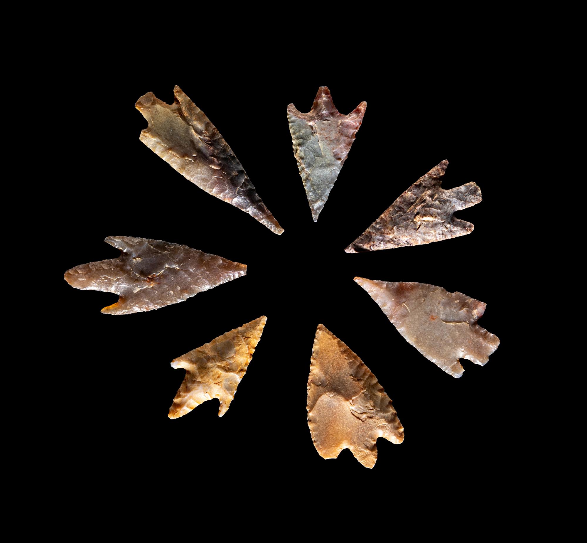 101 Neolithic Flint Points