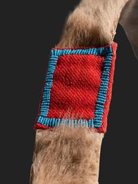 Comanche Mountain Lion Bowcase and Quiver