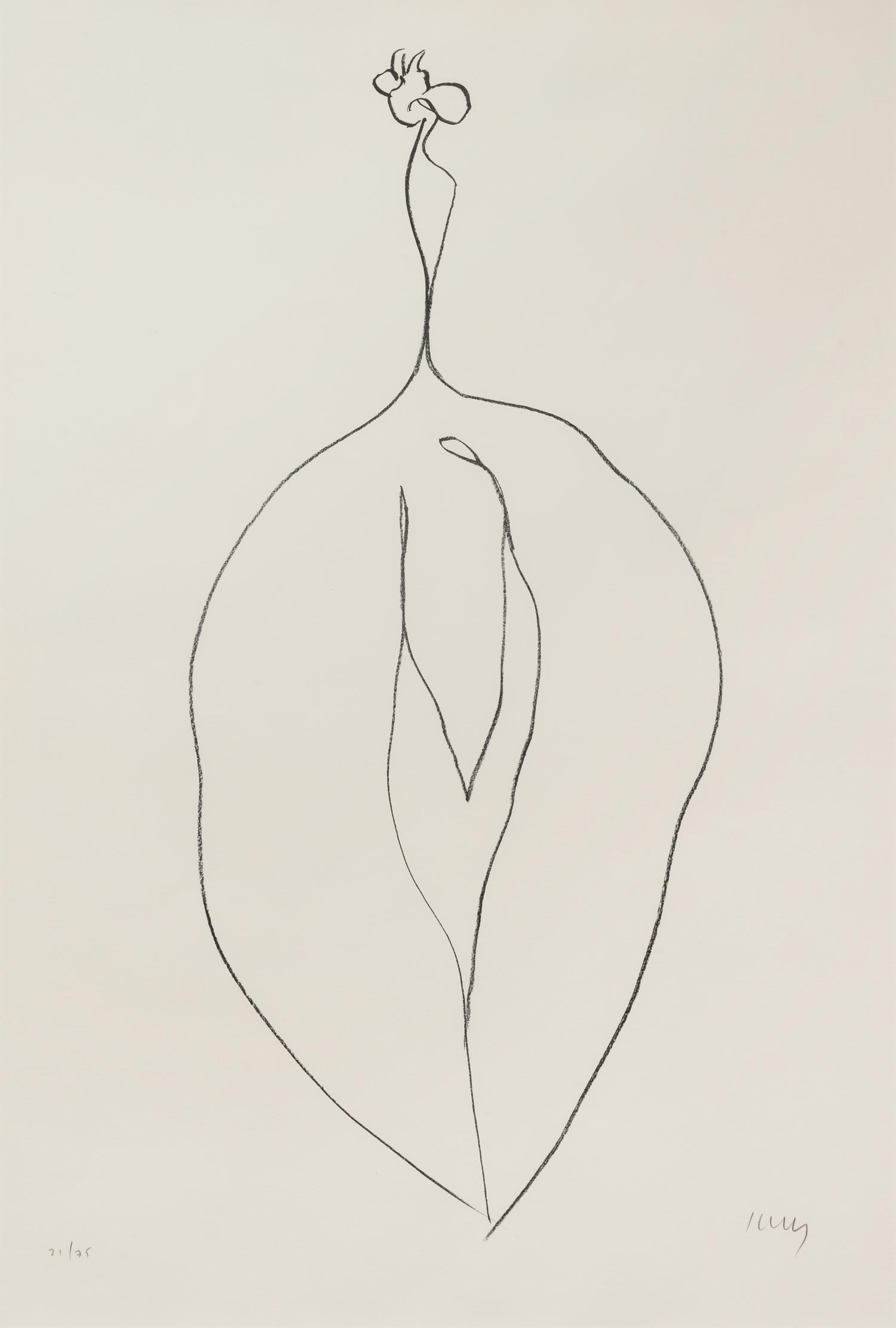 Seaweed ( Algue) from Suite of Plant Lithographs , 1965-66