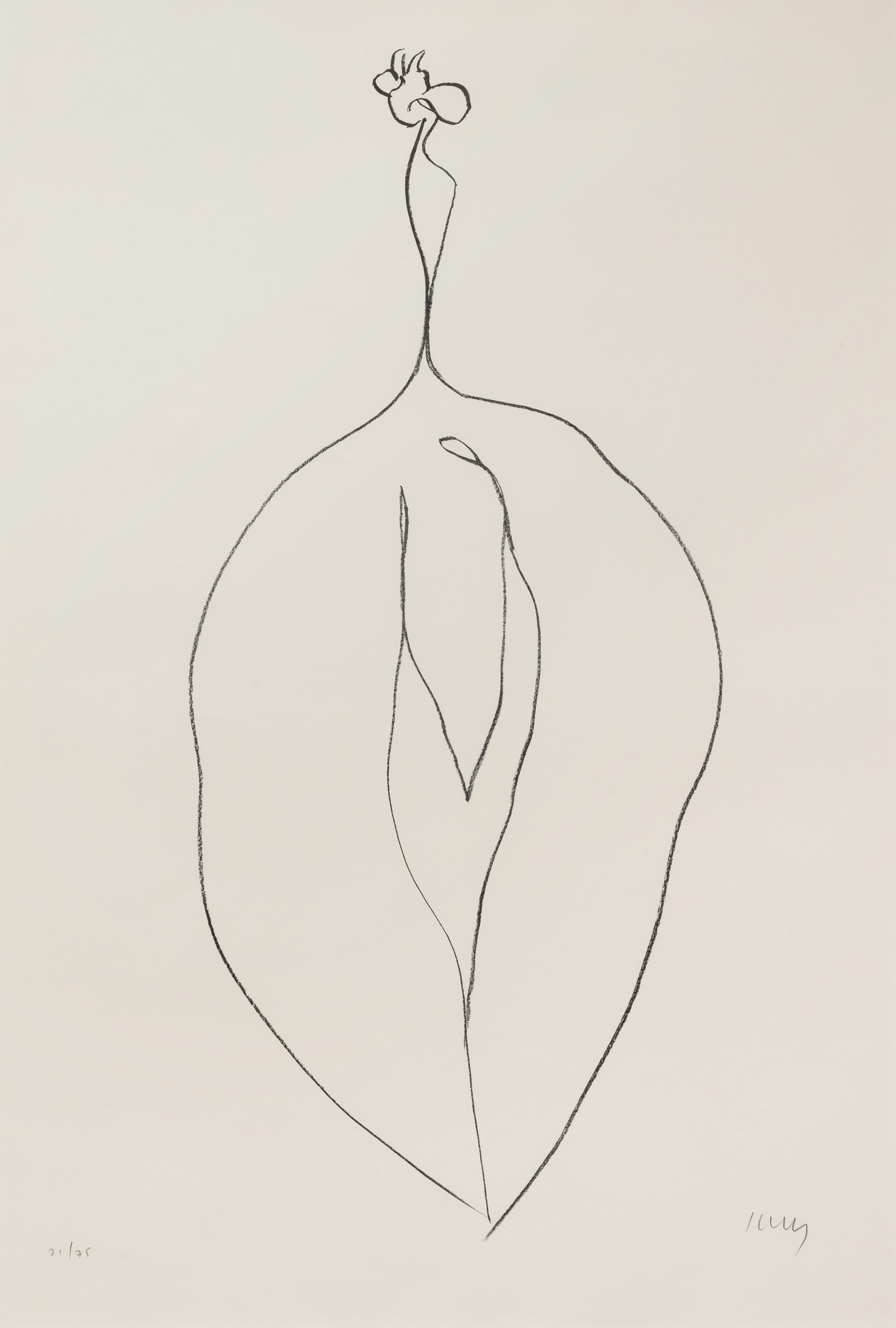 Seaweed ( Algue) from Suite of Plant Lithographs , 1965-66