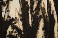 Black Trees