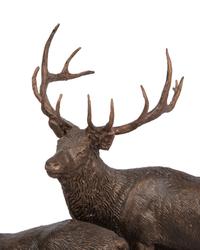 Two Elk Walking