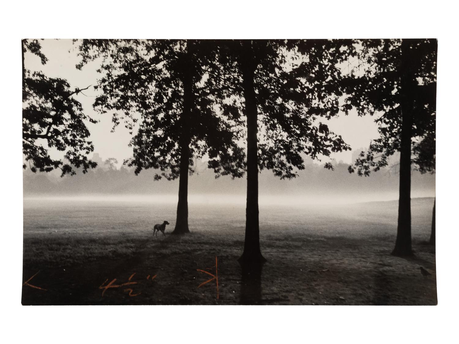 A Group of Four Works, 1958-65; printed ca. 1958-65
