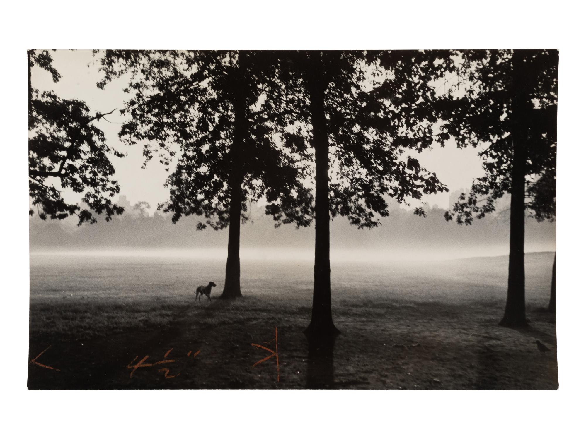 A Group of Four Works, 1958-65; printed ca. 1958-65