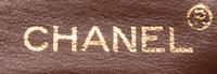 CHANEL, LIZARD CAMERA BAG