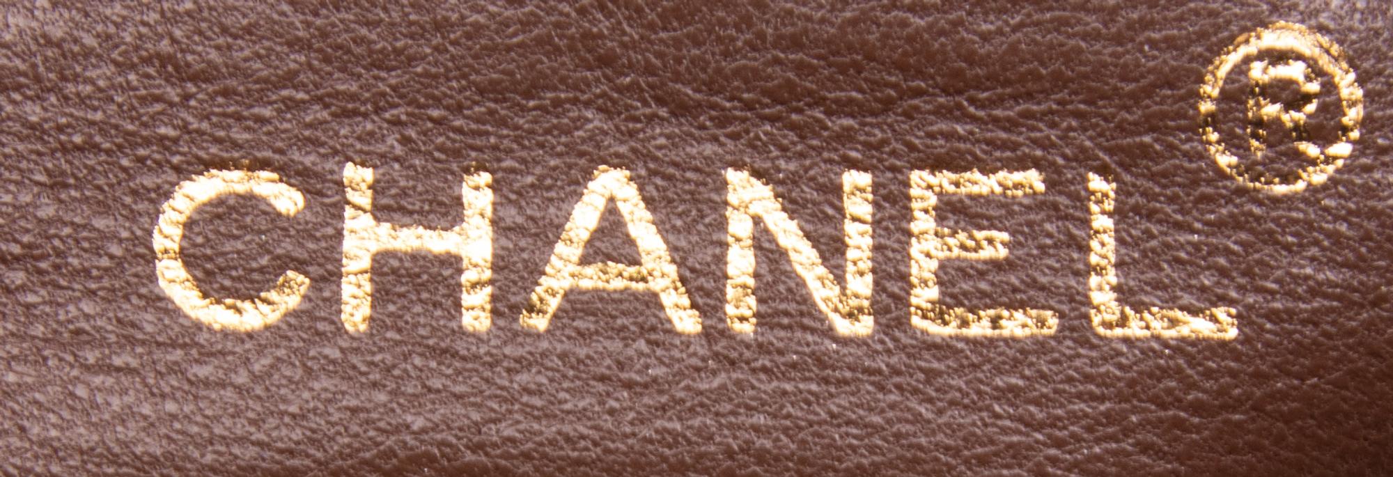 CHANEL, LIZARD CAMERA BAG