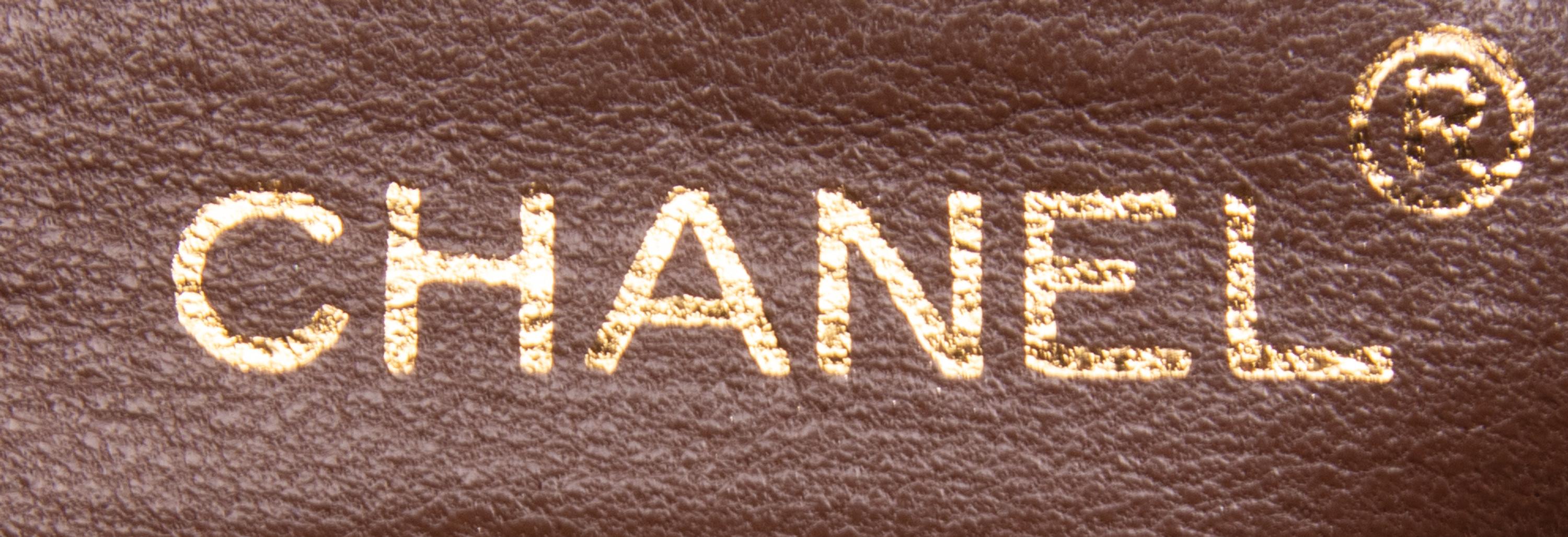 CHANEL, LIZARD CAMERA BAG