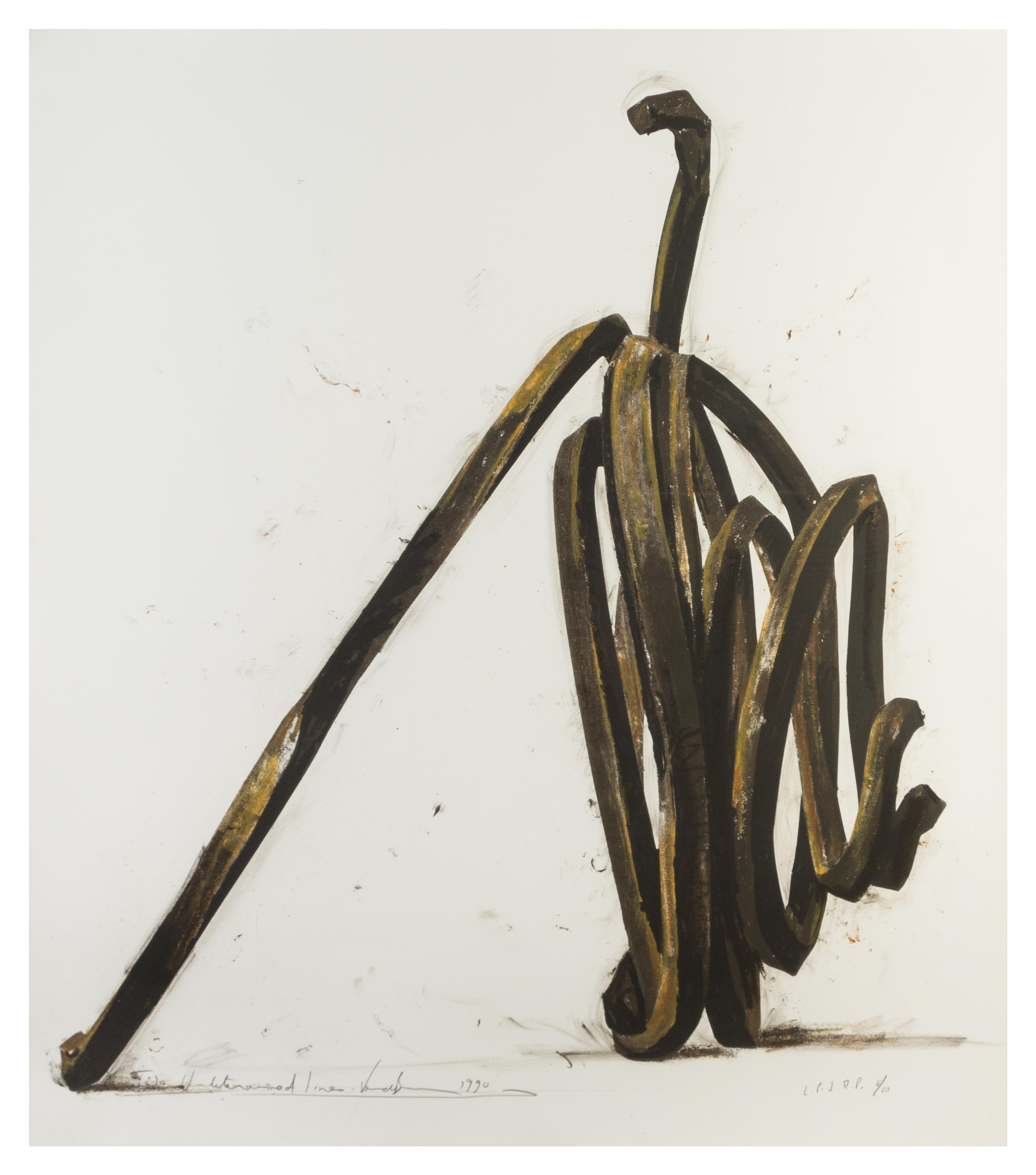 Bernar Venet, (French, b. 1941), Two Undetermined Lines, 1990
