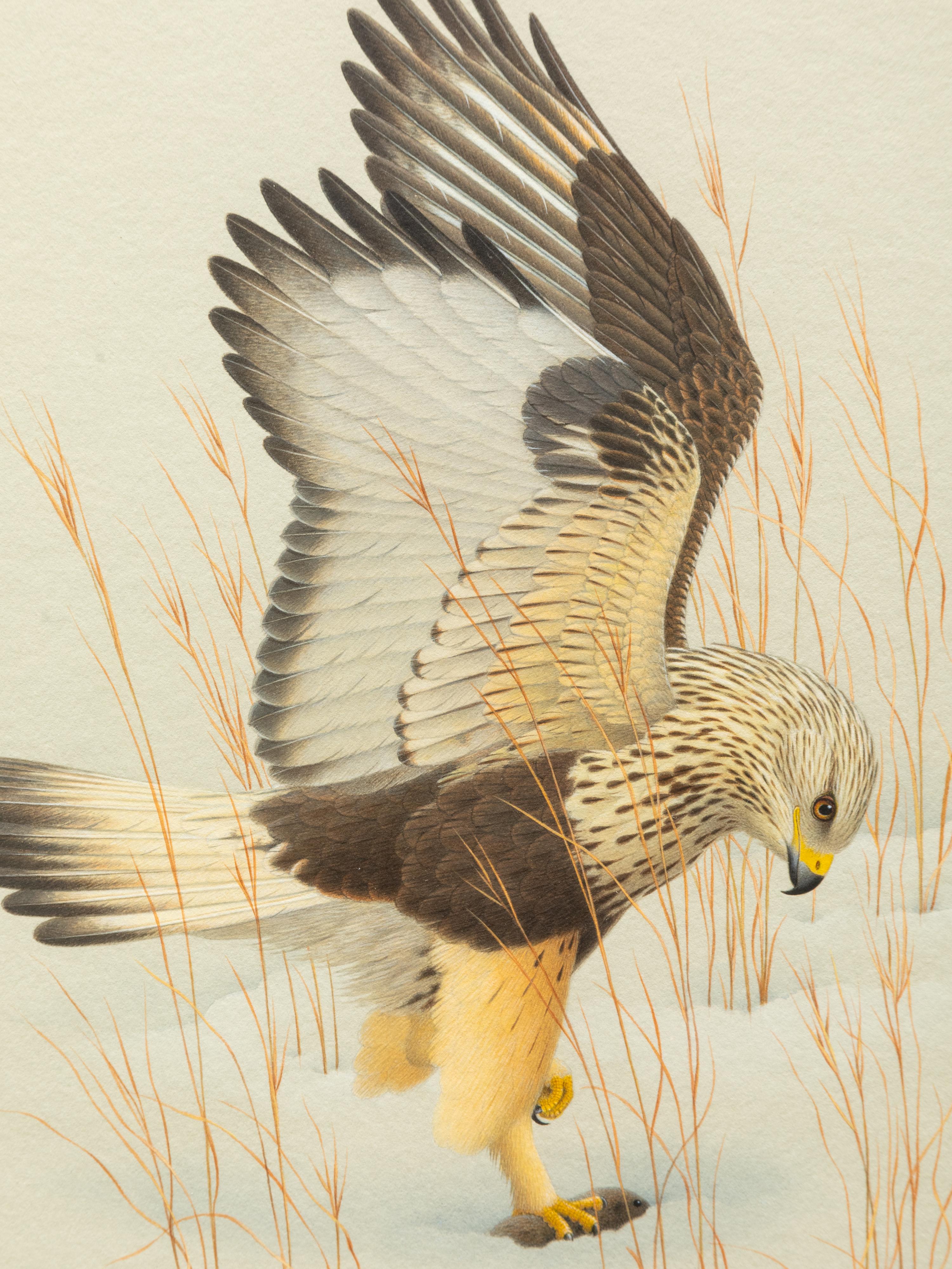 Group of Nine Works, American Bird Series, 1988