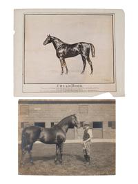 [EARLY PHOTOGRAPHY]. A large group of early photographs incl. equestrian and logging views.