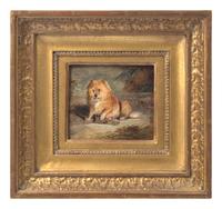 Vixen, A Thorough-bred Scottish Terrier, 1822
