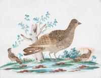 Three Miscellaneous Wildfowl Pictures Largest framed 12 x 15 inches. — 20TH CENTURY