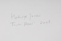Twin Pool , 2008