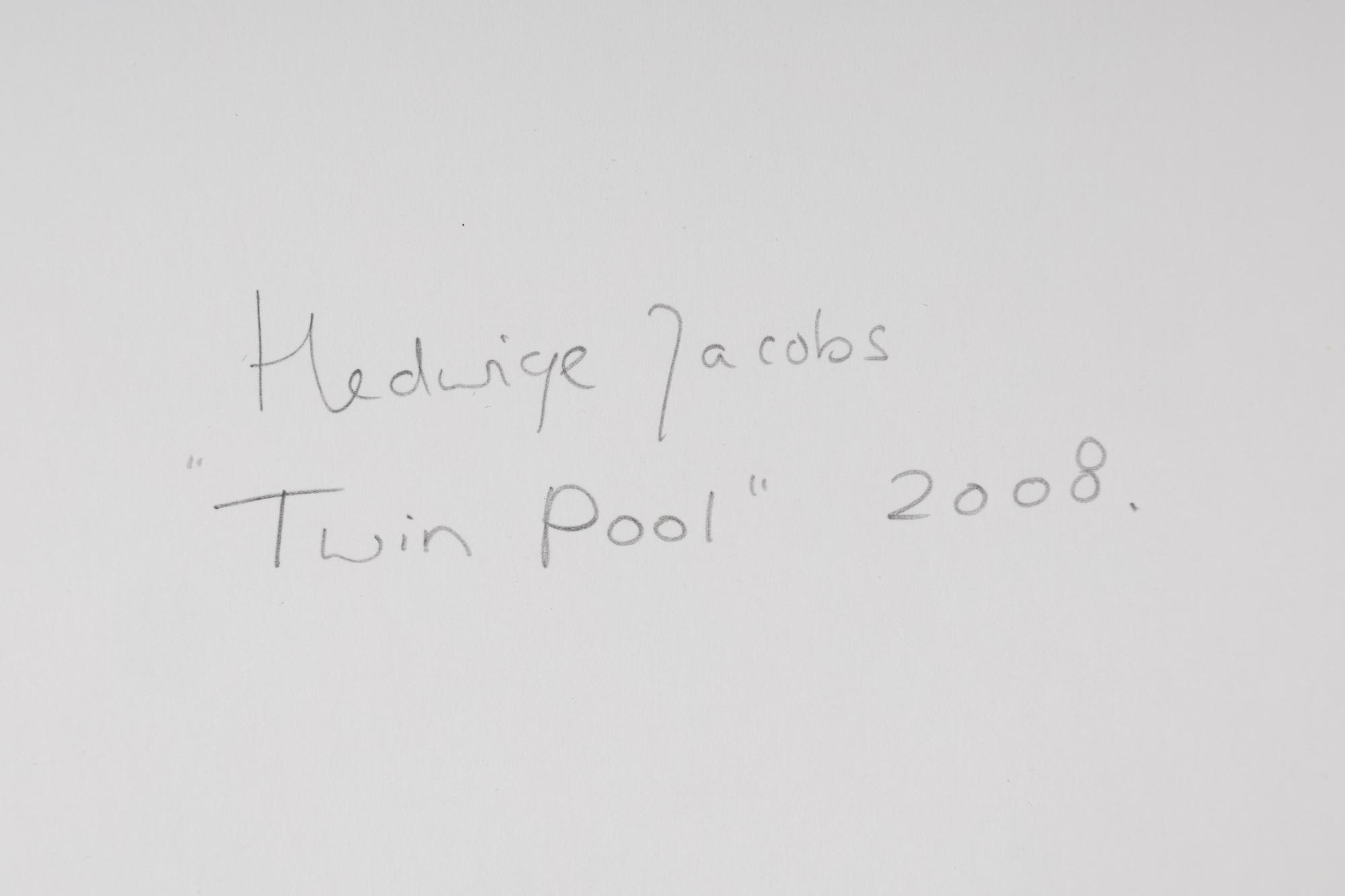 Twin Pool , 2008