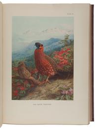 BEEBE, Charles William (1877-1962). A Monograph of the Pheasants . London: Witherby & Co., 1918-1922.
