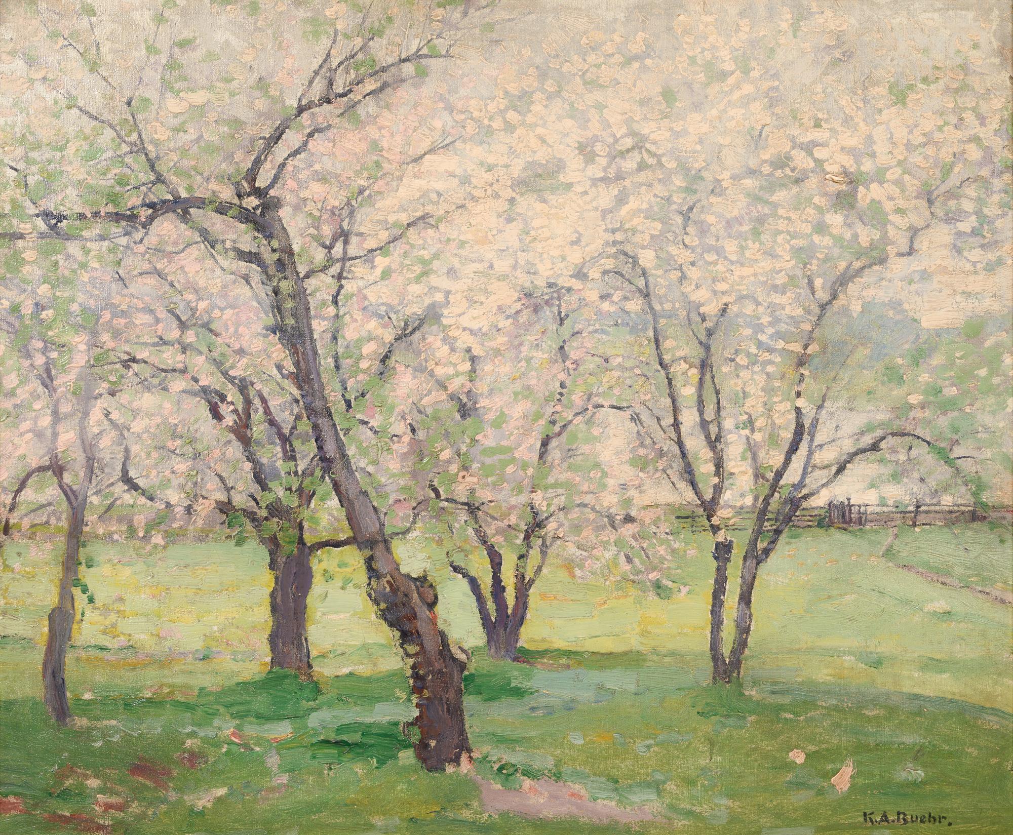 Trees in Bloom