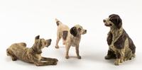 Three Austrian Cold Painted Bronze Models of Dogs