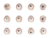 A Group of 12 500 Home Run Club Single Signed Autograph Baseballs (Beckett Authentication Services Certified),