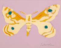 Tan Butterfly on Purple
