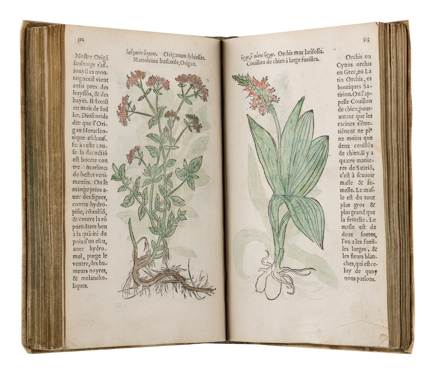 FUCHS, Leonhart (1501-1566). Histoire des Plantes de M. Leonhart Fuschsius, avec les noms Grecs, Latins & Fraçoys . Paris: Arnold Byrkman, 1549.