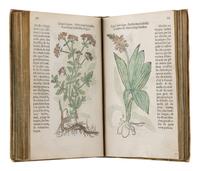 FUCHS, Leonhart (1501-1566). Histoire des Plantes de M. Leonhart Fuschsius, avec les noms Grecs, Latins & Fraçoys . Paris: Arnold Byrkman, 1549.
