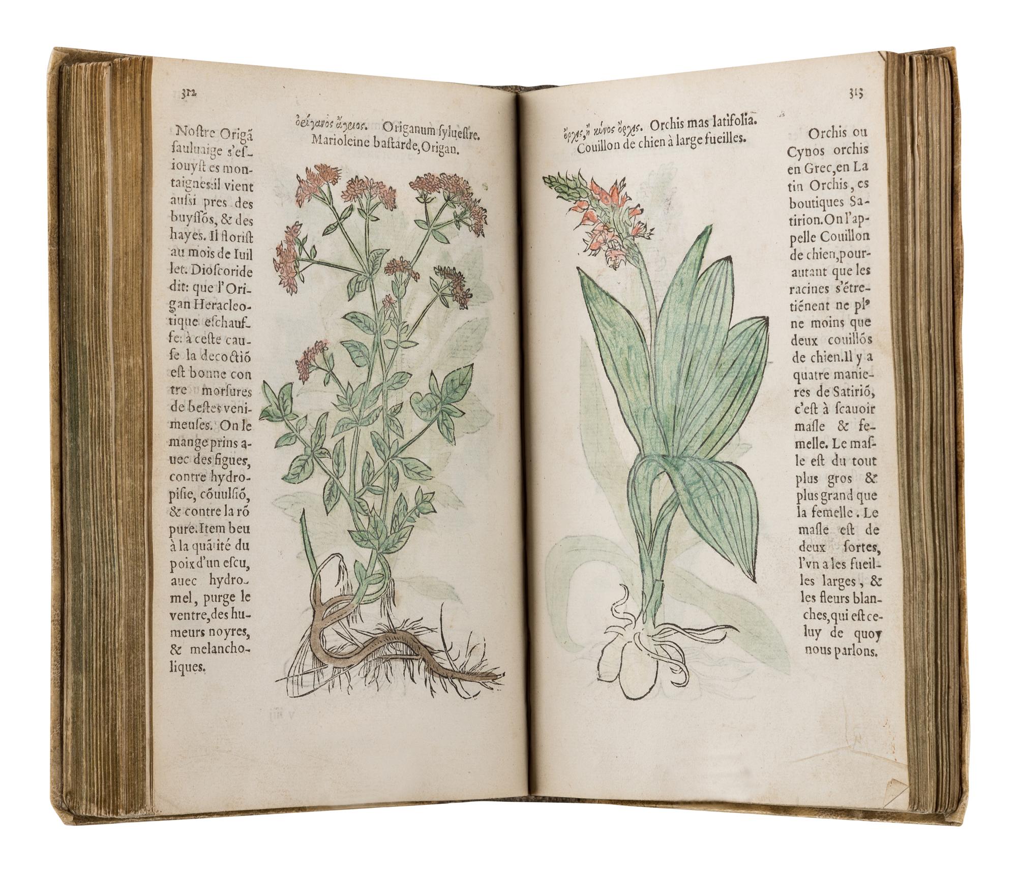 FUCHS, Leonhart (1501-1566). Histoire des Plantes de M. Leonhart Fuschsius, avec les noms Grecs, Latins & Fraçoys . Paris: Arnold Byrkman, 1549.