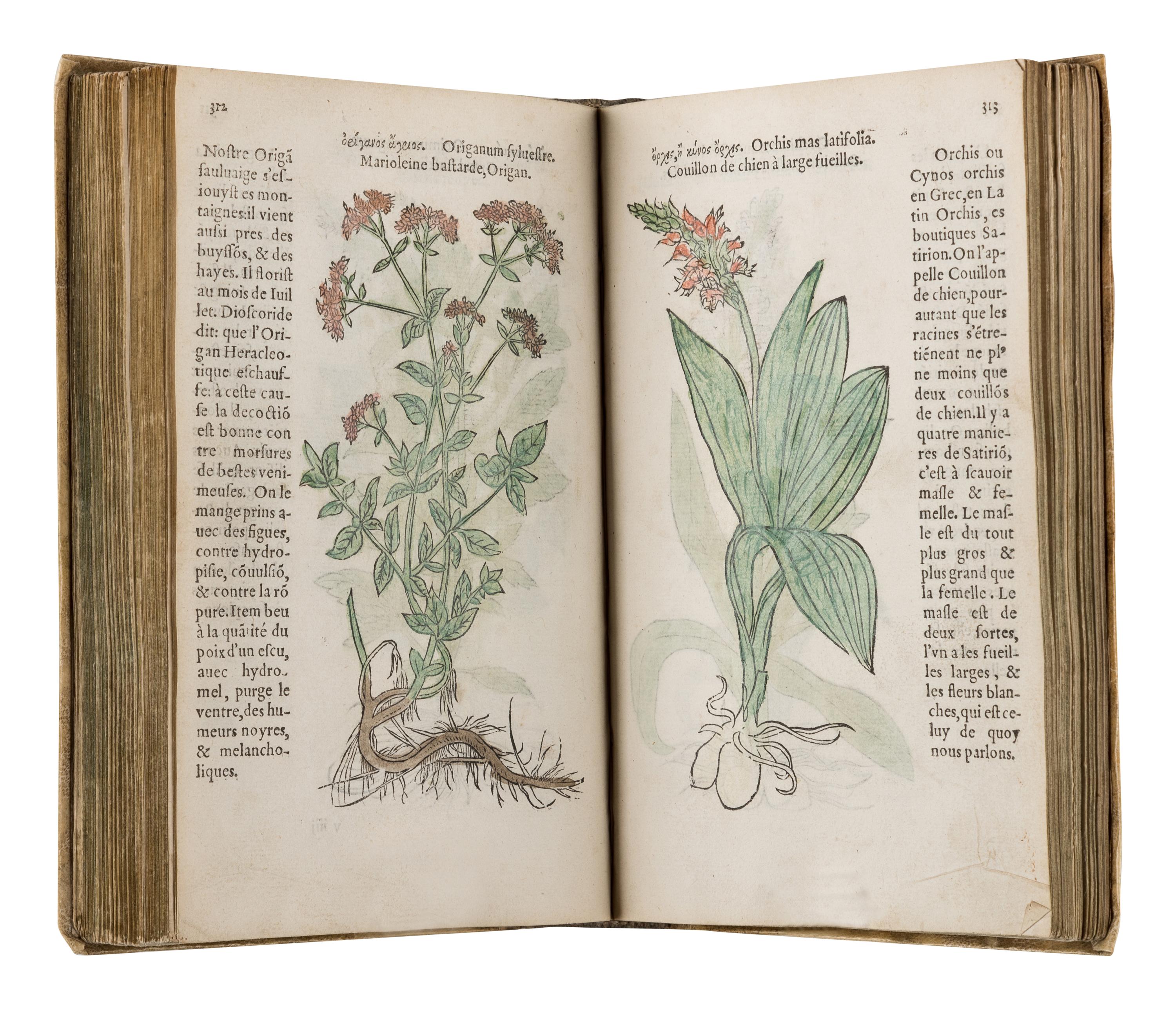 FUCHS, Leonhart (1501-1566). Histoire des Plantes de M. Leonhart Fuschsius, avec les noms Grecs, Latins & Fraçoys . Paris: Arnold Byrkman, 1549.