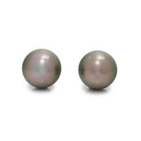 CULTURED TAHITIAN PEARL STUD EARRINGS