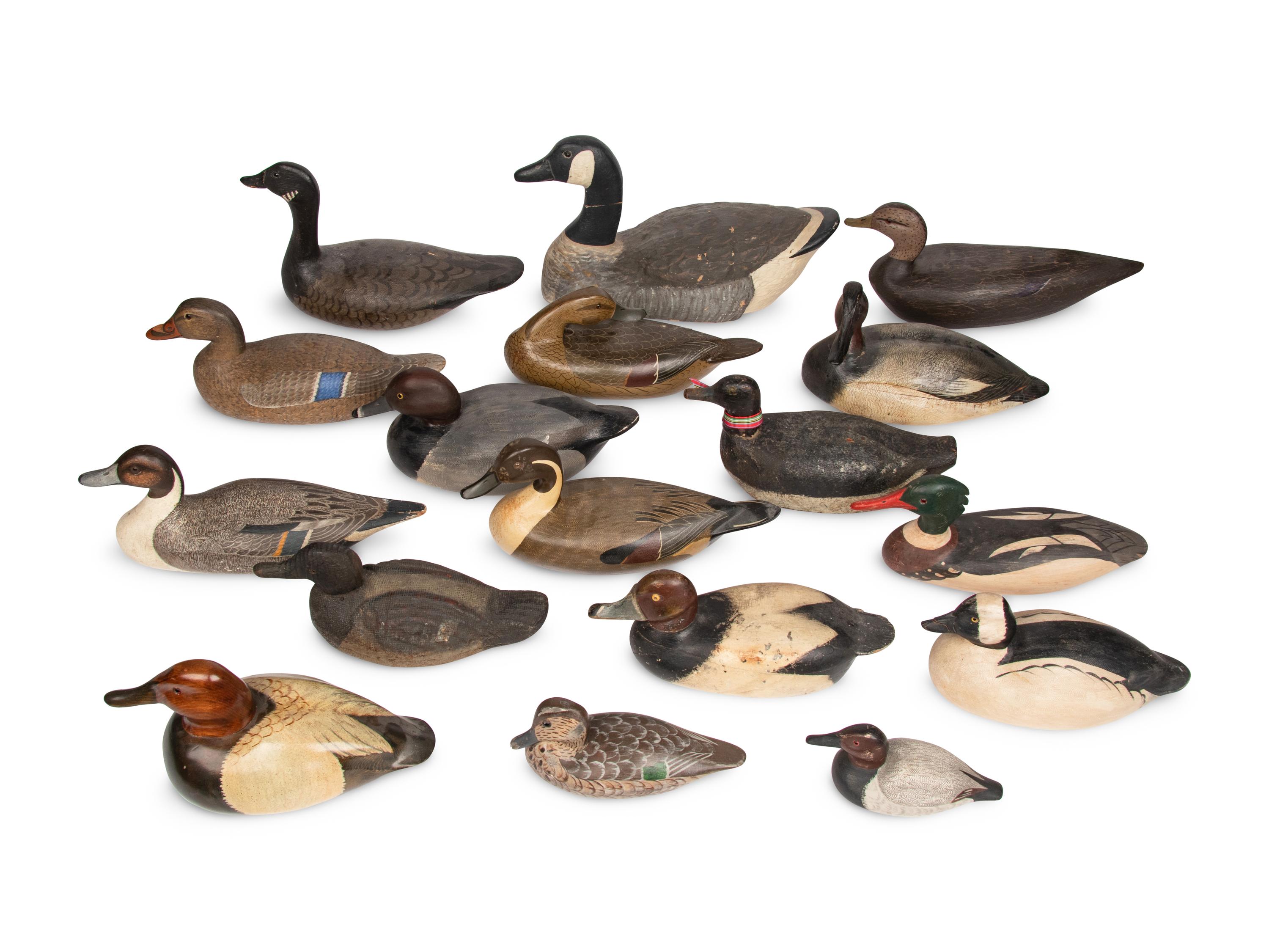 A Collection of Painted Wood Duck and Goose Decoys