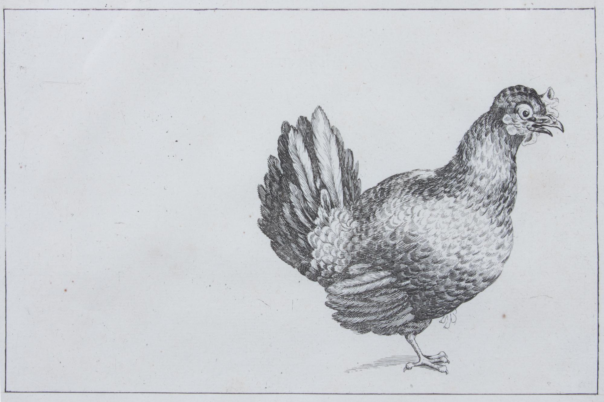 A Set of Two Lithographs of Fowl Each: 8 3/4 x 11 1/2 inches.