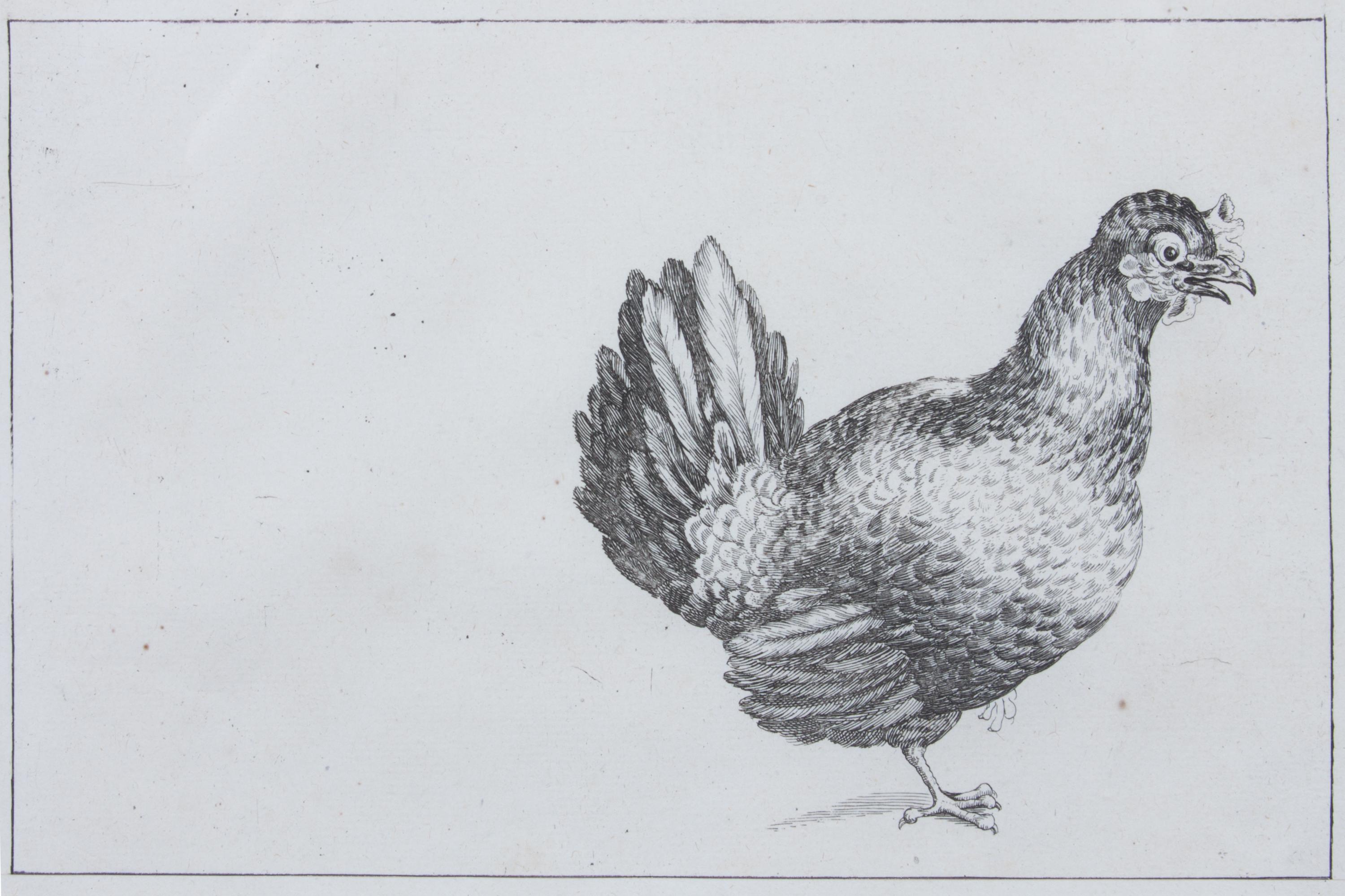 A Set of Two Lithographs of Fowl Each: 8 3/4 x 11 1/2 inches.