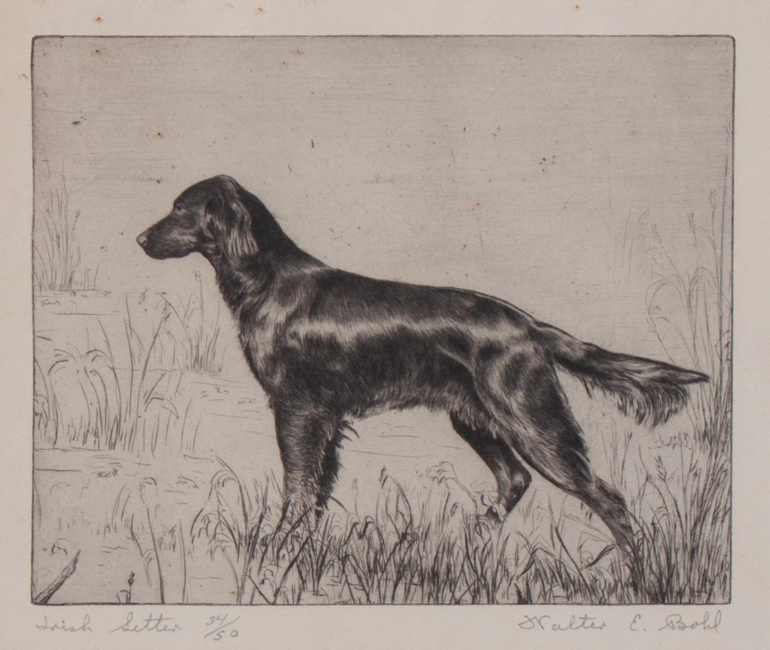 Walter Bohl, (American, 1907-1990), Labrador Retriever, Irish Setter, and Coming Over (three works)
