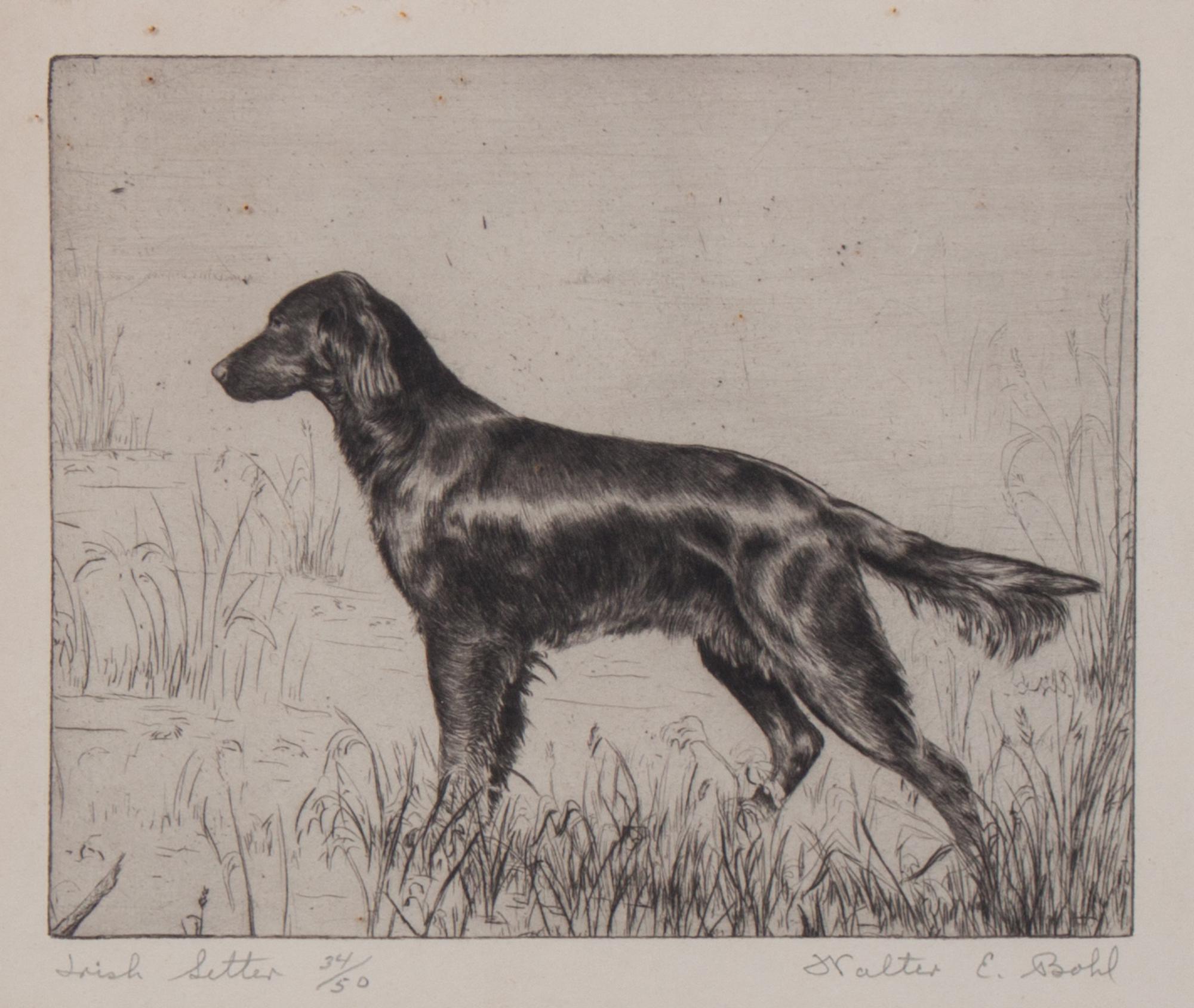 Walter Bohl, (American, 1907-1990), Labrador Retriever, Irish Setter, and Coming Over (three works)