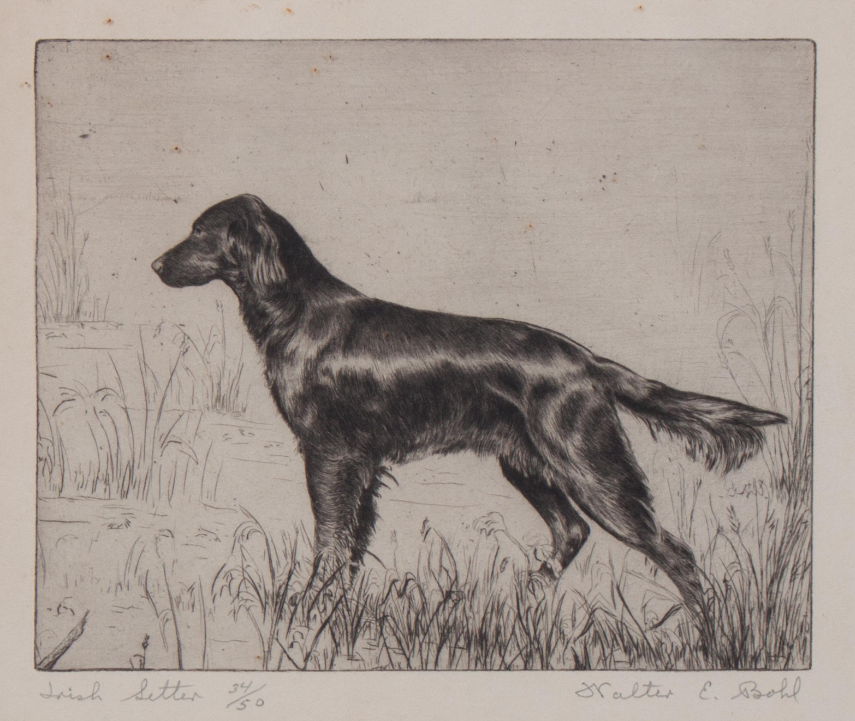 Walter Bohl, (American, 1907-1990), Labrador Retriever, Irish Setter, and Coming Over (three works)