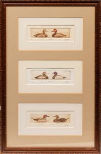Six Framed Prints, in Four Frames: Green-Winged Teal, Artist's Proof; Goldeneye & Bluebill Decoys, edition 34/100; Black Duck, edition 28/100; together in one frame: Redhead , edition 17/100; Bluebill , edition 10/100; Pintail , Artist's Proof